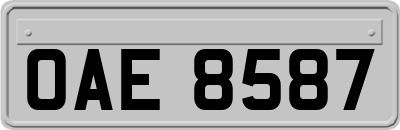 OAE8587