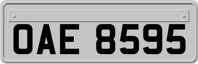 OAE8595