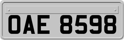 OAE8598