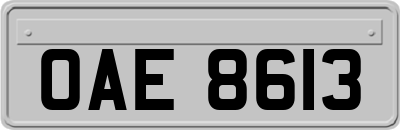 OAE8613