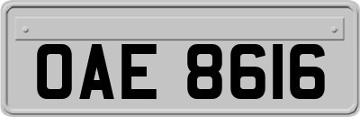 OAE8616