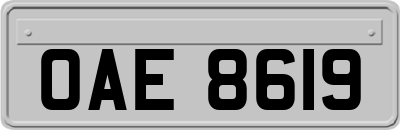 OAE8619