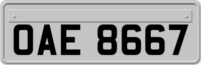 OAE8667