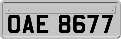 OAE8677