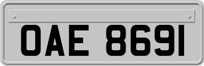 OAE8691