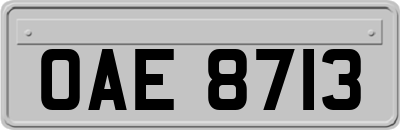 OAE8713
