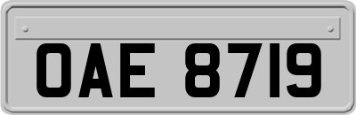 OAE8719