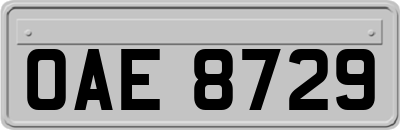 OAE8729