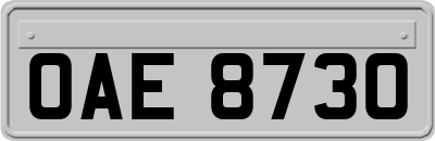 OAE8730