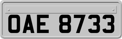 OAE8733