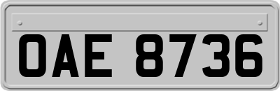 OAE8736