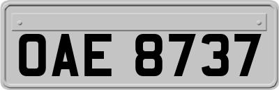 OAE8737