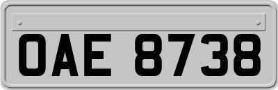 OAE8738