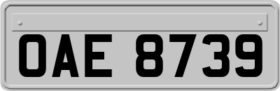 OAE8739