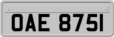 OAE8751