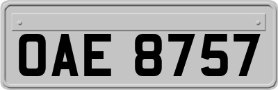 OAE8757