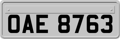OAE8763
