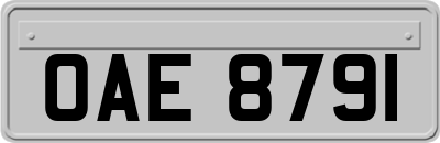 OAE8791
