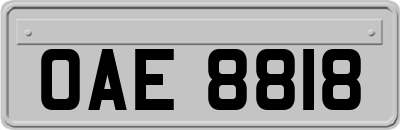 OAE8818