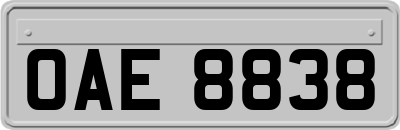 OAE8838