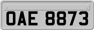 OAE8873