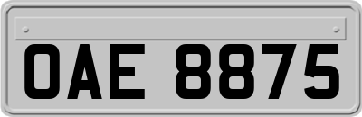OAE8875