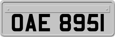 OAE8951