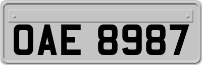 OAE8987