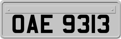OAE9313
