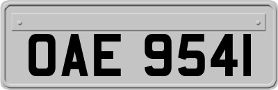 OAE9541