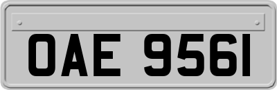 OAE9561