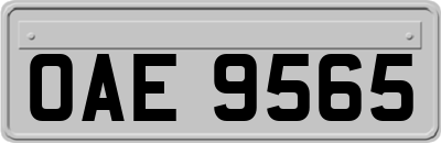 OAE9565