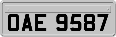 OAE9587