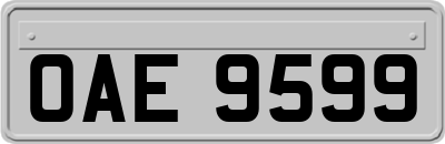 OAE9599