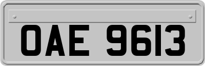 OAE9613