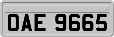 OAE9665