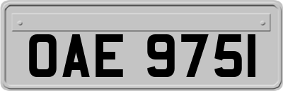 OAE9751