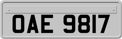 OAE9817