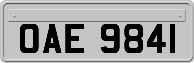 OAE9841