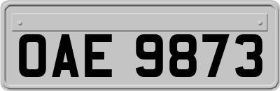OAE9873