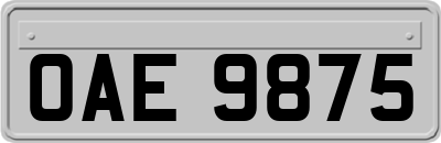 OAE9875