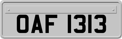 OAF1313