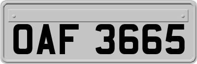 OAF3665