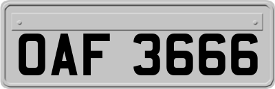 OAF3666