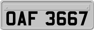 OAF3667