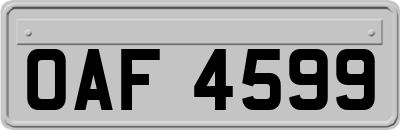 OAF4599