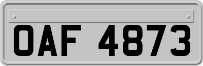 OAF4873