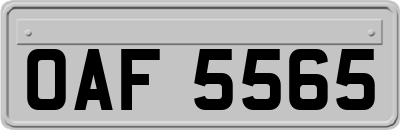 OAF5565