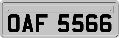 OAF5566