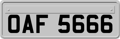 OAF5666